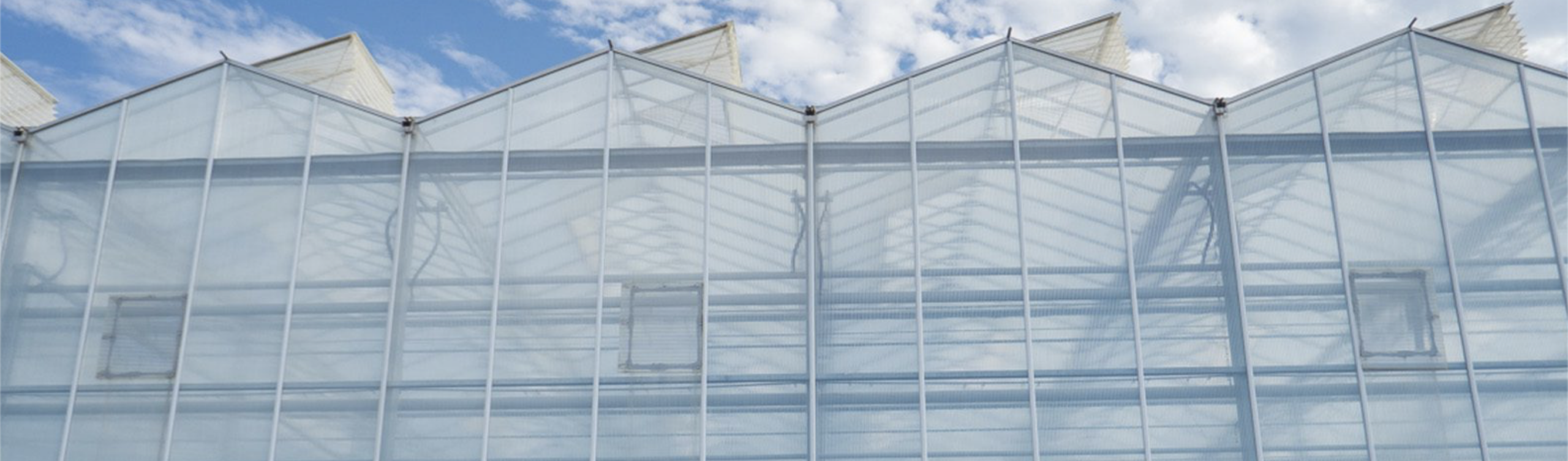 Greenhouse agricultural supply chain