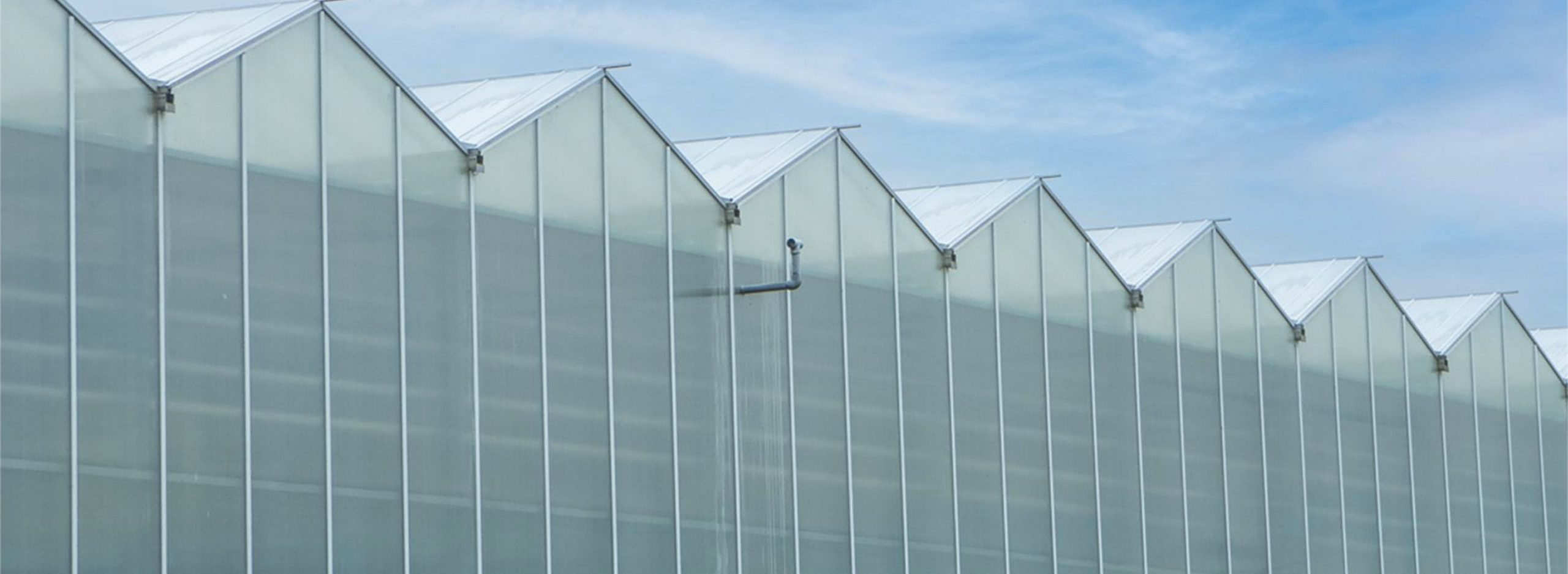 Nature Fresh Farms greenhouse facility