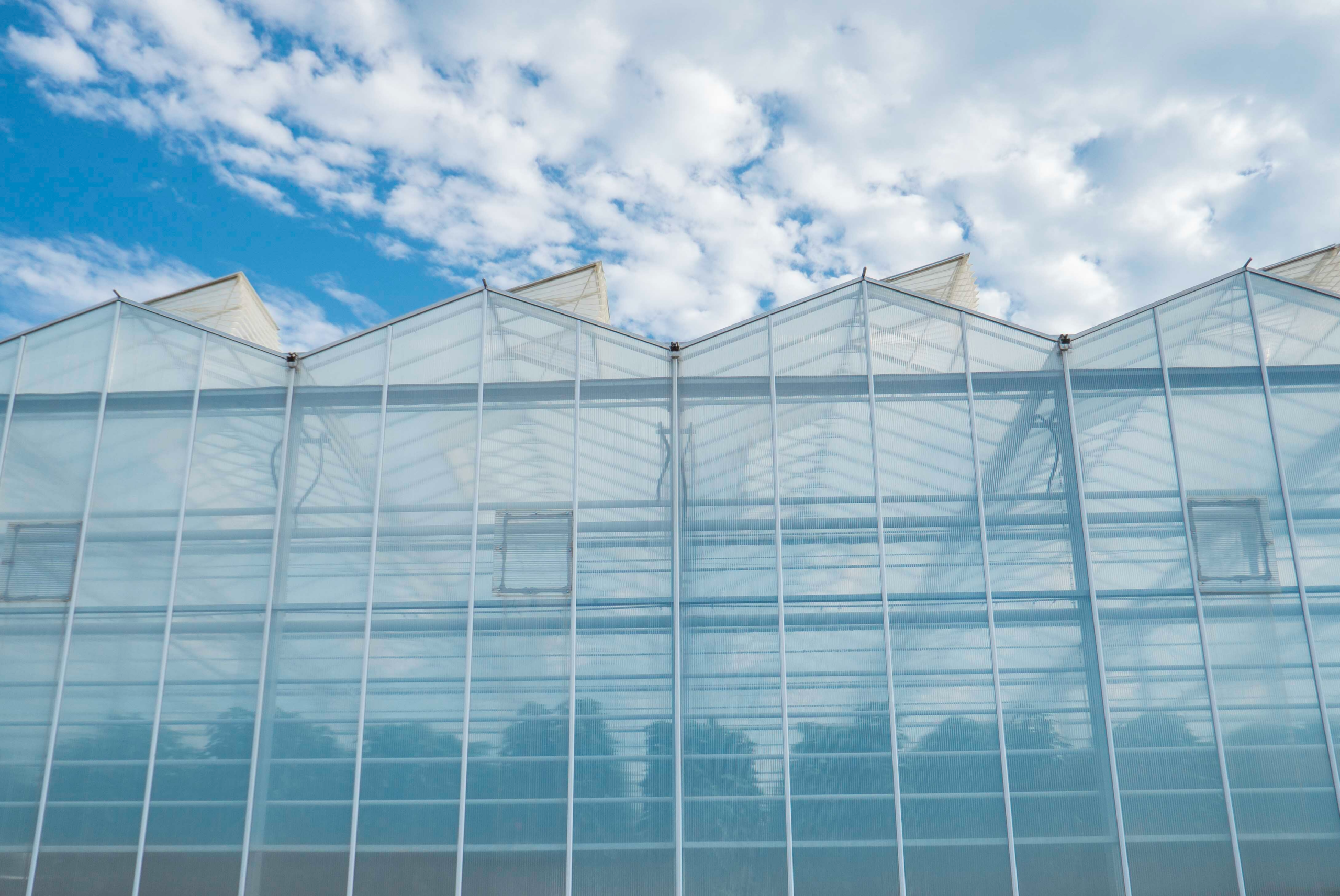 Local steady roles at Nature Fresh Farms