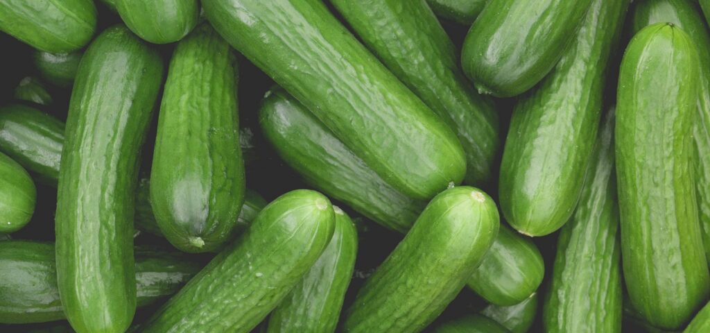 How to Tell When Nature Fresh Farms® Cucumbers are Ripe