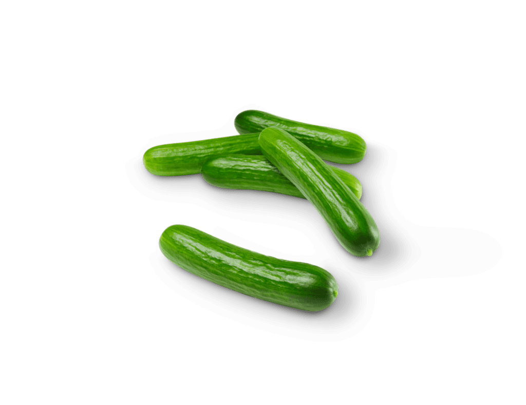 Mini Cucumbers