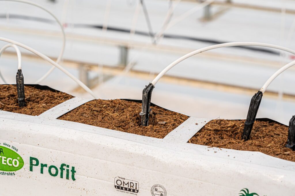 Water Efficiency In Greenhouses