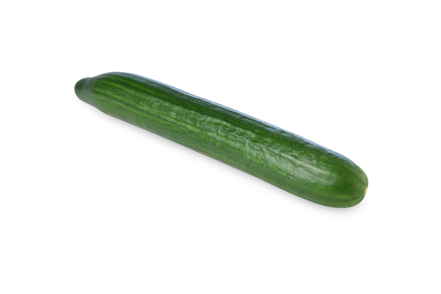 Organic Long English 1 ct