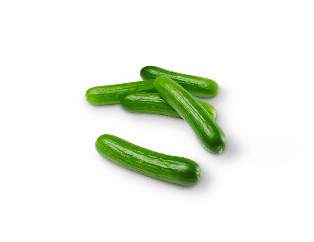 Mini Cucumbers