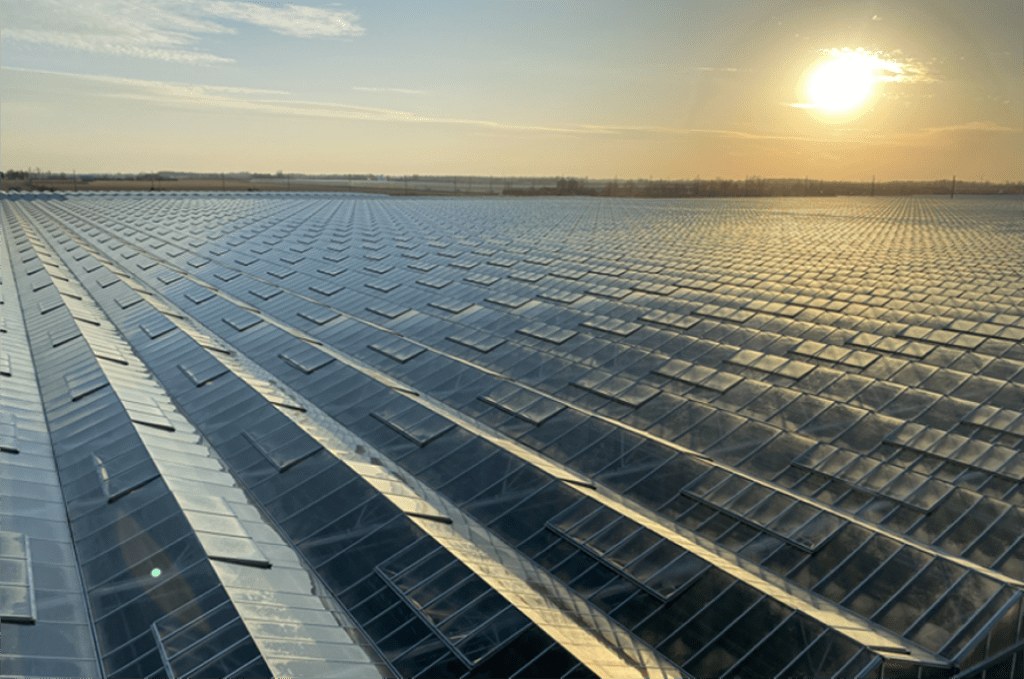 Nature Fresh Farms greenhouse packaging and logistics